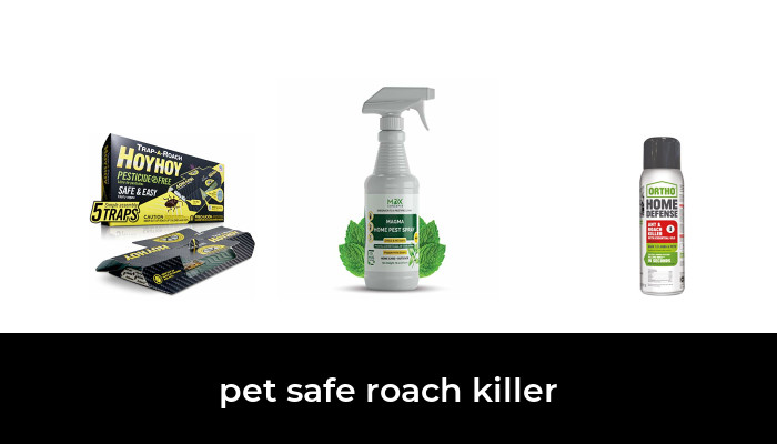 Best Pet Safe Roach Killer After Hours Of Research And