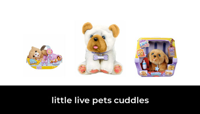 chaton cuddles little live pets