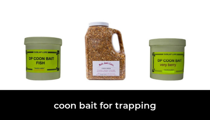 Coon Bait For Trapping 14671 696x398 