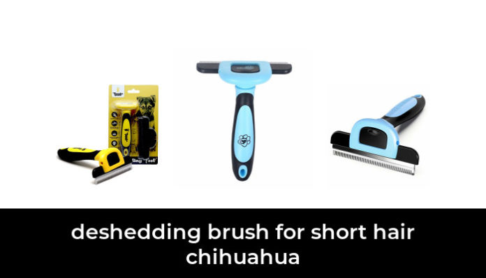 Top 5 Best Brush For Cocker Spaniel - abouthomemadedogtreats.com