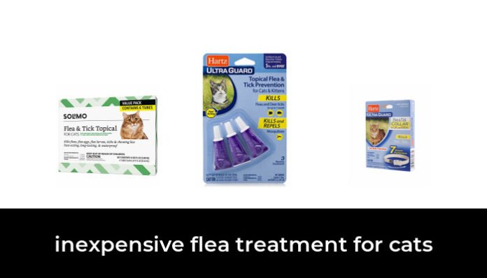 Inexpensive Flea Treatment For Very Old Cats Reference: 45 Best Inexpensive Flea Treatment For Cats 2022