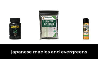 46 Best japanese maples and evergreens 2022 – After 163 hours of research and testing.