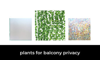 49 Best plants for balcony privacy 2023 – After 216 hours of research and testing.