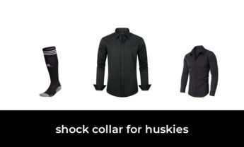 46 Best shock collar for huskies 2023 – After 223 hours of research and testing.