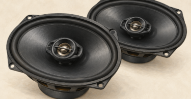 Illustration of two plain oval automotive speakers on a neutral surface.