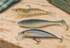 Illustration of a shrimp-shaped lure, a paddle-tail lure and a minnow-shaped hard bait arranged separately.