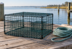 An empty unbranded wire crab trap sits on a wooden dock beside a coiled rope, with calm coastal water in the background.