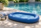 Blue oval pet pool float on a stone patio beside a swimming pool, with a folded towel and water bowl.