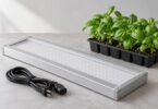 Generic unplugged LED plant-light fixture and coiled cord beside basil seedlings on a dry table