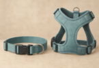 Illustration of an unbranded fabric dog collar and separate harness resting unused without an animal.