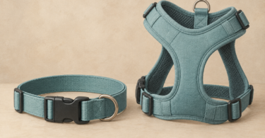 Illustration of an unbranded fabric dog collar and separate harness resting unused without an animal.