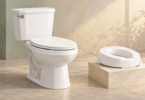 Conceptual illustration of a white toilet beside a detached raised seat displayed on a separate plinth.