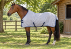Bay horse wearing a light mesh sheet beside a wooden stable.