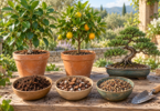 Conceptual illustration of a potted broadleaf tree, citrus tree and bonsai beside three bowls of growing media and a trowel on a garden bench.
