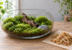Illustration of green moss, wood and a stone in a glass terrarium beside a pile of tan dried moss